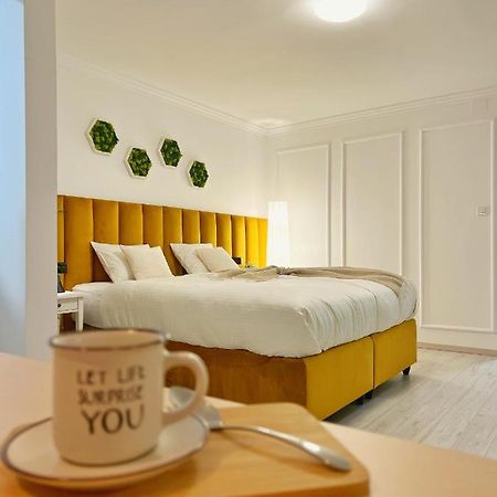 טימישוארה Studio 118 - A Luxury Place,10Min Walk To City Center מראה חיצוני תמונה