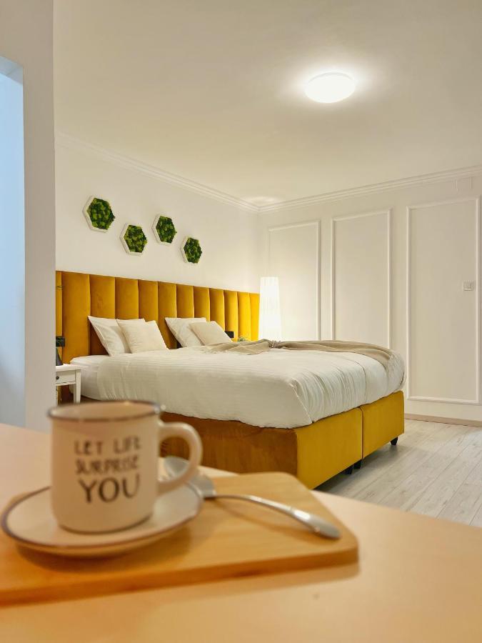 טימישוארה Studio 118 - A Luxury Place,10Min Walk To City Center מראה חיצוני תמונה