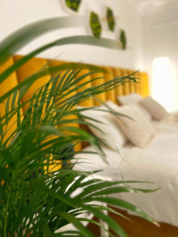 טימישוארה Studio 118 - A Luxury Place,10Min Walk To City Center מראה חיצוני תמונה